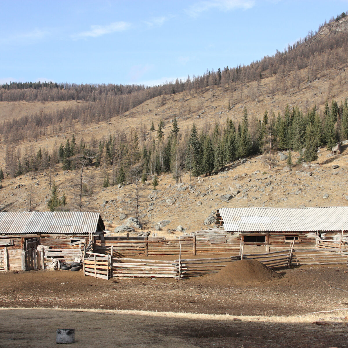Traditional seasonal livestock camp
